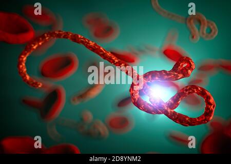 Vue microscopique du virus Ebola, illustration 3d Banque D'Images