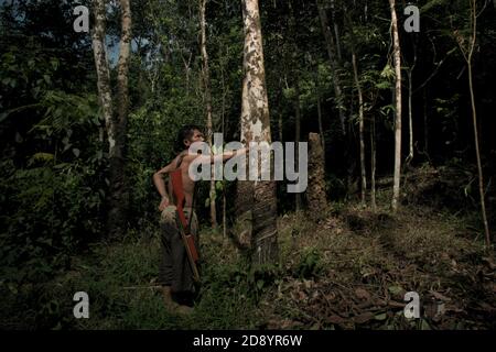 Tohab Hutagalung, un villageois fermier, tenant une carabine à air comprimé à la recherche d'une autre source de protéines au milieu de la forêt de Batang Toru à Sitahuis, Central Tapanuli, North Sumatra, Indonésie. Les communautés vivant dans la forêt tropicale et autour de celle-ci dépendent en partie de la chasse alimentaire et de la collecte alimentaire en plus de l'agriculture. Les conservationnistes ont résolu ce problème en plaçant l'autonomisation des communautés comme partie intégrante de tout effort de conservation de la nature, en fournissant éducation et assistance aux communautés pour trouver une source de revenu alternative plus durable et plus écologique. Banque D'Images