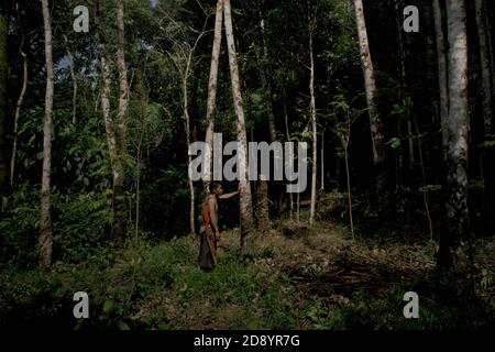 Tohab Hutagalung, un villageois fermier, tenant une carabine à air comprimé à la recherche d'une autre source de protéines au milieu de la forêt de Batang Toru à Sitahuis, Central Tapanuli, North Sumatra, Indonésie. Les communautés vivant dans la forêt tropicale et autour de celle-ci dépendent en partie de la chasse alimentaire et de la collecte alimentaire en plus de l'agriculture. Les conservationnistes ont résolu ce problème en plaçant l'autonomisation des communautés comme partie intégrante de tout effort de conservation de la nature, en fournissant éducation et assistance aux communautés pour trouver une source de revenu alternative plus durable et plus écologique. Banque D'Images