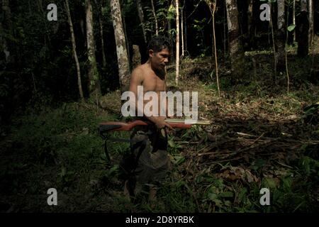 Tohab Hutagalung, un villageois fermier, tenant une carabine à air comprimé à la recherche d'une autre source de protéines au milieu de la forêt de Batang Toru à Sitahuis, Central Tapanuli, North Sumatra, Indonésie. Les communautés vivant dans la forêt tropicale et autour de celle-ci dépendent en partie de la chasse alimentaire et de la collecte alimentaire en plus de l'agriculture. Les conservationnistes ont résolu ce problème en plaçant l'autonomisation des communautés comme partie intégrante de tout effort de conservation de la nature, en fournissant éducation et assistance aux communautés pour trouver une source de revenu alternative plus durable et plus écologique. Banque D'Images