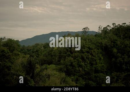 Vue de la bordure ouest du bloc ouest de l'écosystème de Batang Toru vu du village de Nauli dans le district de Sitahuis, Central Tapanuli regency, province de Sumatra Nord, Indonésie. Banque D'Images