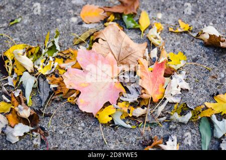 pile de feuilles laissées dans l'allée par le vent Banque D'Images