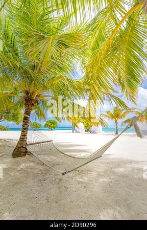 Hamac de plage entre les palmiers arbres ciel nuageux, océan. Plage paradisiaque ensoleillée avec palmiers et hamac tressé traditionnel Banque D'Images