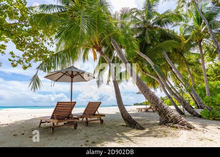 Deux chaises de plage sur une plage de sable blanc tropicale idyllique. Ombre des palmiers. Aucun bruit, rendu 3d net et extrêmement détaillé. Concept pour les vacances Banque D'Images