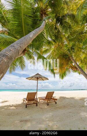 Deux chaises de plage sur une plage de sable blanc tropicale idyllique. Ombre des palmiers. Aucun bruit, rendu 3d net et extrêmement détaillé. Concept pour les vacances Banque D'Images