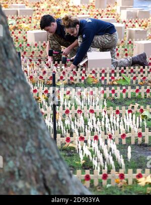 Londres, Royaume-Uni. 2 novembre 2020. Préparatifs pour le service du jour du souvenir à l'abbaye de Westminster. Des centaines de croix avec des coquelicots sont posées dans le domaine. Préparatifs du jour du souvenir. Abbaye de Westminster. Crédit : Mark Thomas/Alay Live News Banque D'Images