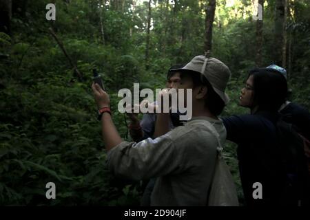 Une équipe de travailleurs de la conservation effectuant une étude sur le terrain dans la zone de la forêt tropicale qui fait partie de l'habitat de la population fragmentée de Sumatran orangutan dans le centre de la régence de Tapanuli, province de Sumatra, au nord de l'Indonésie. Banque D'Images