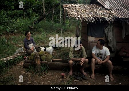 Ramli Hutagalung et son épouse ayant une conversation à leur cabane de ferme avec un membre d'une équipe de travailleurs de la conservation qui mène une étude sur le terrain pour mesurer le potentiel de l'écosystème de Batang Toru à être proposé comme zone de protection de la nature. Sitahuis, Central Tapanuli, Nord de Sumatra, Indonésie. Banque D'Images