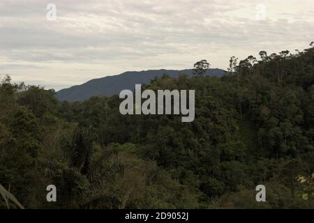 Vue de l'écosystème de Batang Toru vu du village de Nauli dans le district de Sitahuis, Central Tapanuli regency, province de Sumatra Nord, Indonésie. Banque D'Images