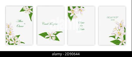 Modèles d'art carré abstrait tendance de fleurs et de feuilles vertes. Illustration de Vecteur