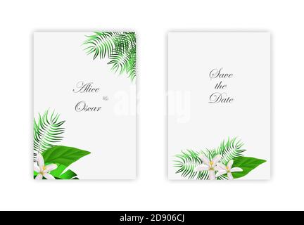 Modèles d'art carré abstrait tendance de fleurs et de feuilles vertes. Illustration de Vecteur