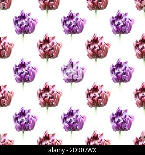 Superbe motif sans couture. Fond floral sans couture de tulipes séchées. Des tulipes sèches comme le symbole du temps de fondu Banque D'Images