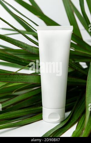 tube crème pour la peau du corps et feuilles de palmier vert humide sur fond blanc. maquette d'emballage cosmétique vierge Banque D'Images