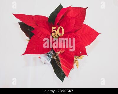 Poinsettia plante sur la table Banque D'Images