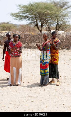 Les femmes de Maasai portant une tenue traditionnelle, membres de la tribu Samburu, dans une danse traditionnelle, dans la réserve nationale de Samburu. Kenya. Afrique. Banque D'Images