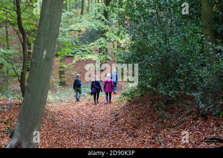 Lambridge Woods, Oxfordshire : les grands-parents et les petits-enfants dans une bulle de soutien traversent les bois de hêtre. Anna Watson/Alamy Banque D'Images