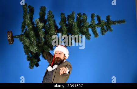 Un homme d'affaires au visage déchaînant tient l'arbre de Noël pointant vers l'avant. Homme en costume et chapeau de père Noël sur fond bleu. Concept de célébration de la nouvelle année au travail. Manager avec barbe se prépare pour Noël Banque D'Images