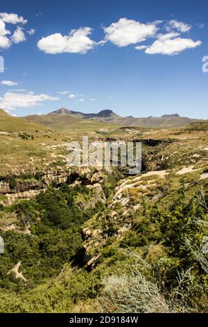 Un ravin boisé, coupant dans une herbe couverte dans le plateau dans le parc national des Hautes-terres du Golden Gate d'Afrique du Sud par une journée claire et ensoleillée Banque D'Images