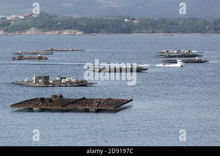 Paysage marin d'un bateau naviguant entre des plates-formes de moules appelées batea. Paysage marin. RIAS Baixas, Galice, Espagne Banque D'Images