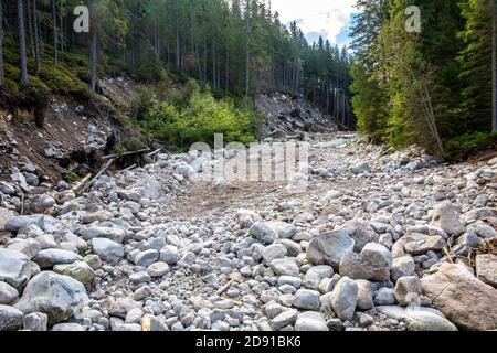 Lit de rivière sec et rocailleux dans la forêt de conifères des montagnes Tatra, en Pologne. Banque D'Images