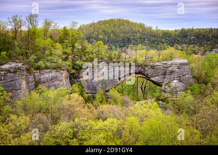 Big South Fork River National Recreation Area et Banque D'Images