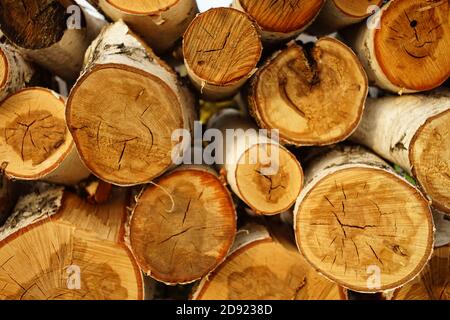 Grumes d'entrepôt de bois de bouleau récoltées pour l'hiver Banque D'Images