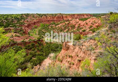 Roche couverture Canyons State Park et Trailway Banque D'Images