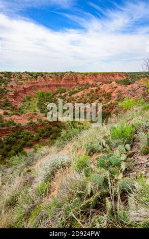 Roche couverture Canyons State Park et Trailway Banque D'Images