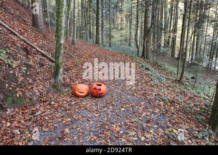 Citrouilles d'Halloween dans la forêt d'automne Banque D'Images