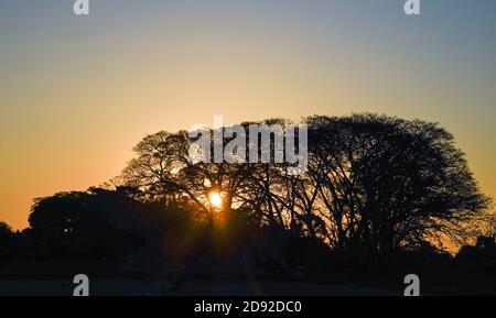 Paysage rural et soirée, en fin d'après-midi. Le soleil se couche dans les arbres du biome Pampa du Rio Grande do Sul - Brésil. Sentiment de paix et ca Banque D'Images