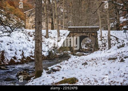 Rivière avec un pont enneigé entouré d'arbres Banque D'Images