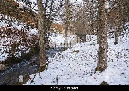 Rivière avec un pont enneigé entouré d'arbres Banque D'Images