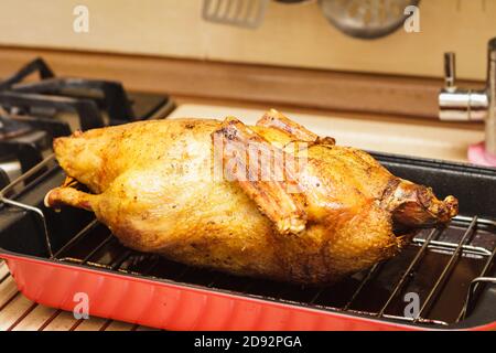 Canard rôti dans une poêle profonde avec grille, repas préparé pour le dîner de fête Banque D'Images