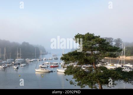 Vues brumeuses sur la mer et bateaux amarrés au large de la plage de Conleau sur le golfe du Morbihan, vannes, Bretagne, France Banque D'Images