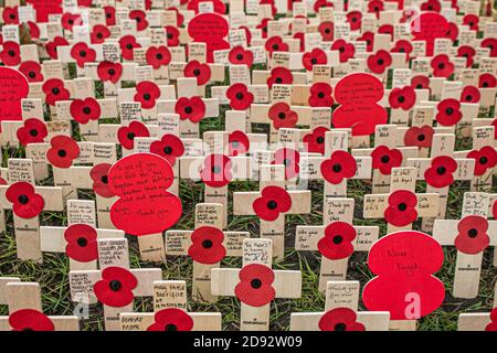 WESTMINSTER LONDON, ROYAUME-UNI, 2 NOVEMBRE 2020. Des coquelicots ont marqué des croix commémoratives plantées par des volontaires de la Légion britannique à l'extérieur de l'abbaye de Westminster avant le dimanche du souvenir pour commémorer et honorer les soldats et les forces armées britanniques et du Commonwealth tombés. Cette année, le dimanche du souvenir sera marqué par la marche traditionnelle des vétérans sans corowds de spectateurs en raison de la pandémie du coronavirus COVID-19. Credit: amer ghazzal / Alamy Live News Banque D'Images