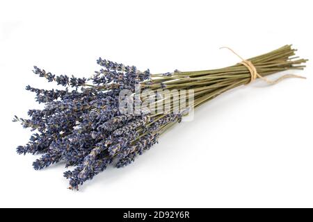 Bouquet de fleurs de lavande séchées isolées sur fond blanc Banque D'Images