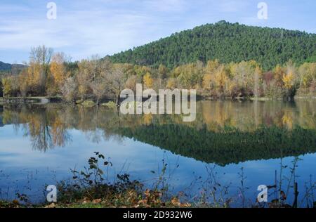 vue panoramique sur un magnifique petit lac près d'anghiari entouré par les arbres dans les couleurs d'automne Banque D'Images