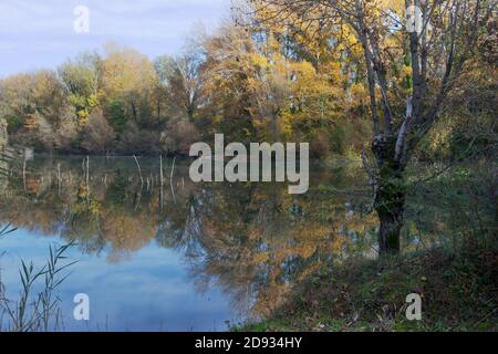 vue panoramique sur un magnifique petit lac près d'anghiari entouré par les arbres dans les couleurs d'automne Banque D'Images