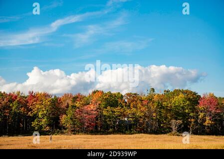 Feuillage d'automne et réflexion dans le paysage du Maine. Banque D'Images