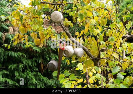 Casseroles et poêles accrochées à un arbre Banque D'Images