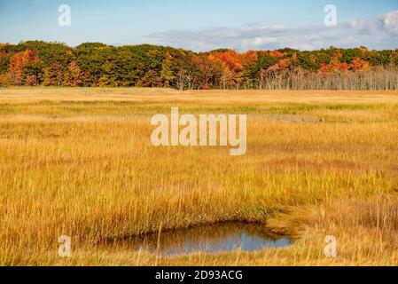 Feuillage d'automne et réflexion dans le paysage du Maine. Banque D'Images