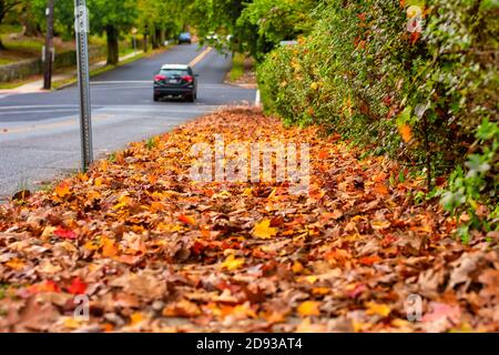 Un trottoir dans une ville de banlieue couverte de feuilles d'automne Avec une voiture sur la route Banque D'Images