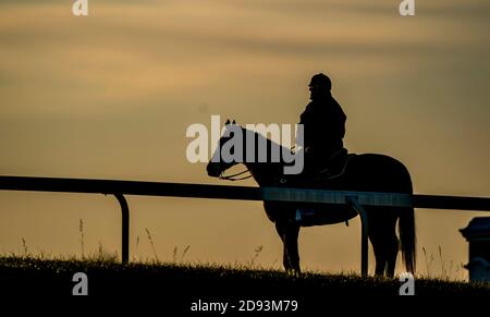 Lexington, Kentucky, États-Unis. 2 novembre 2020. 2 novembre 2020 : l'entraîneur Bill Mott observe ses chevaux s'entraîner à Keeneland Racetrack à Lexington, Kentucky, le 2 novembre 2020. Scott Serio/Eclipse Sportswire/Breeders Cup/CSM/Alamy Live News Banque D'Images