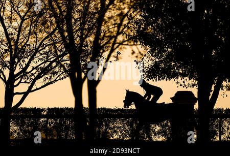 Lexington, Kentucky, États-Unis. 2 novembre 2020. 2 novembre 2020 : scènes d'entraînement matinal pendant que les chevaux se préparent pour le circuit Keeneland de la coupe 2020 BreedersÕ à Lexington, Kentucky, le 2 novembre 2020. Scott Serio/Eclipse Sportswire/Breeders Cup/CSM/Alamy Live News Banque D'Images