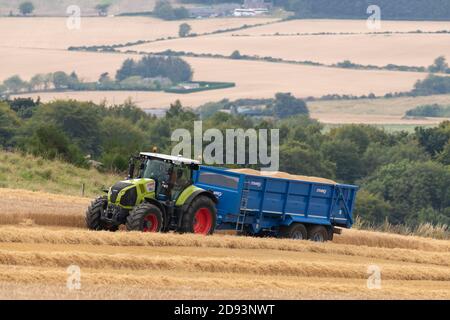 Un tracteur Claas tirant une remorque bleue pleine d'orge En haut d'un champ Hillside à la fin de l'été Banque D'Images