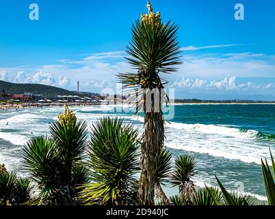 Plage en été ensoleillé, sur la mer de la côte brésilienne, dans la région des lacs, ville de Cabo Frio, Rio de Janeiro, Brésil Banque D'Images