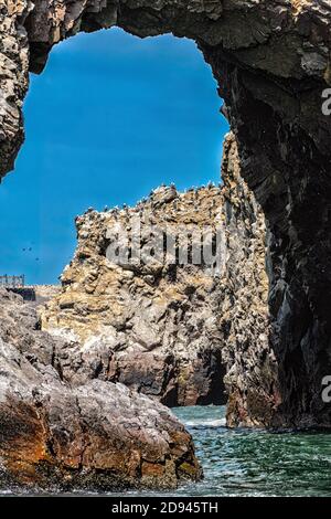 Réserve nationale de Paracas, îles Ballestas Banque D'Images