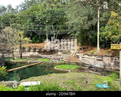 Les crocodiles du Nil dans un zoo qui s'établit près d'un étang par une journée ensoleillée. Banque D'Images