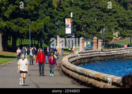 La promenade au bord de la mer à Mrs Macquarie's point à Farm Cove et les jardins botaniques royaux dans le port de Sydney, en Australie. Banque D'Images