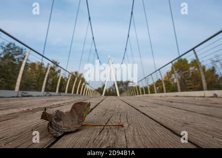 Une feuille tombée sur un pont en bois et en métal le matin de l'automne, gros plan avec un arrière-plan flou Banque D'Images